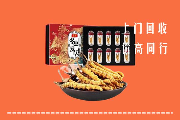 阳东区回收虫草